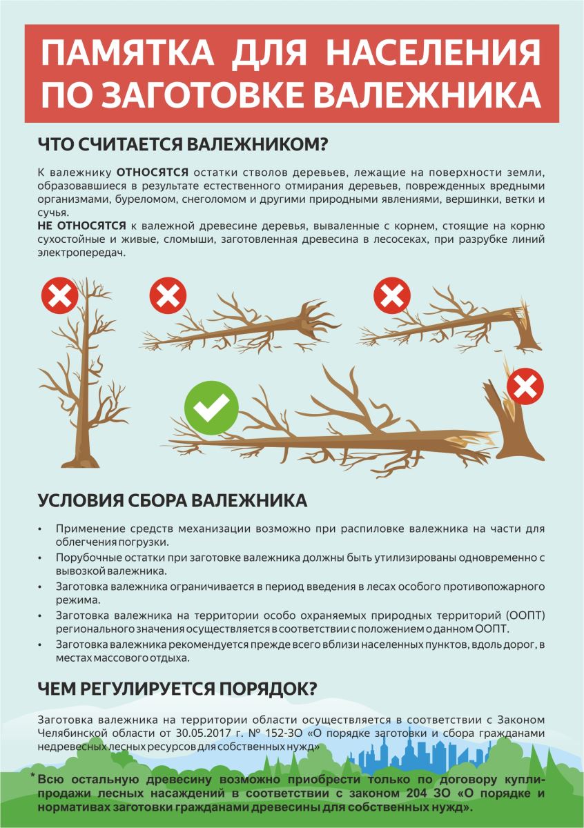 Памятка по заготовке валежника