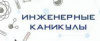 Онлайн мероприятие «Инженерные каникулы» 
