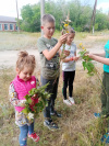 «Собираем цветочки и плетём веночки»