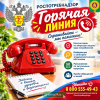 «горячая линия» по вопросам цифровой маркировки товаров, приуроченных ко Всемирному дню качества.