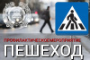На территории Челябинской области стартует профилактическая акция «Пешеход»