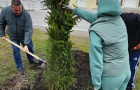 Cубботник по высадке елей у парка «Тропа здоровья». 
