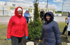 Cубботник по высадке елей у парка «Тропа здоровья». 