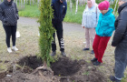 Cубботник по высадке елей у парка «Тропа здоровья». 