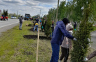 Cубботник по высадке елей у парка «Тропа здоровья». 