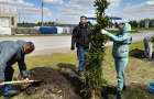 Cубботник по высадке елей у парка «Тропа здоровья». 