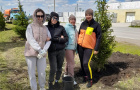 Cубботник по высадке елей у парка «Тропа здоровья». 