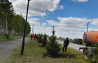 Cубботник по высадке елей у парка «Тропа здоровья». 