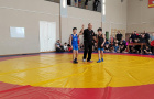 Открытый областной турнир по спортивной борьбе, посвященный «Дню защитника Отечества»